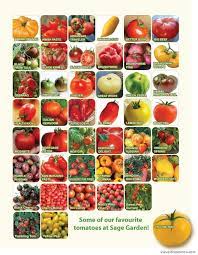 Check spelling or type a new query. Pin On Heirlooms