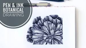 Post anything from your favourite piece of pen & ink art to questions about how to improve your style. Pen And Ink Drawing Botanical Drawing Dotwork Succulent Risovanie Tochkami Youtube