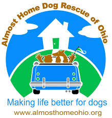 Is based in dayton, ohio and we work with other groups & shelters in ohio. Almost Home Dog Rescue Of Ohio Reviews And Ratings Dublin Oh Donate Volunteer Review Greatnonprofits