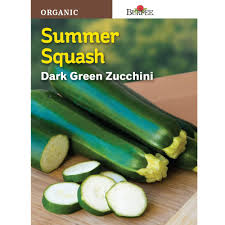 Cylindrical, dark green early variety; Burpee Squash Summer Dark Green Zucchini Organic Seed 60938 The Home Depot