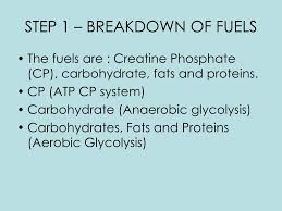 Both carbohydrates and lipids serve as sources of energy, but these compounds contain different capacities for energy storage. Ppt Intro To Energy Systems Powerpoint Presentation Free Download Id 4482576