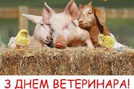 Редактор рубрики «гастроэнтерология и диетология». Den Veterinara 2020 Pozdravleniya Stihi Kartinki Video