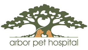 180 isle of venice dr, fort lauderdale (fl), 33301, united states. Veterinarian In Wilton Manors Fl Arbor Pet Hospital