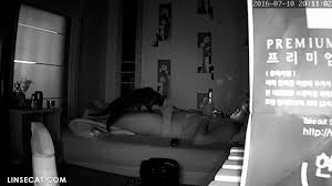 被入侵(hacked)家庭监控摄像头：胖乎乎的韩国女人周日夜晚，寂寞难耐，一边看色情视频，一边自慰，性高潮- 吝啬猫