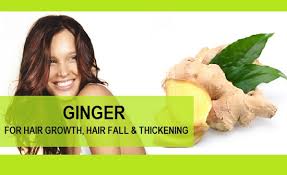 Ginger juice aids in the cure of scalp inflammation and infection. How To Use Ginger For Hair Growth And Hair Thickening