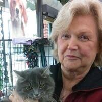 Phyllis Gier Obituary