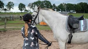 18 Fun Mounted Horse Riding Games You Can Play Horsey Hooves
