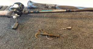 Ultimate Guide To Carolina Rig Fishing Tackle Scout