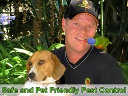 Maybe you would like to learn more about one of these? Pest Control Services Alexandria Sydney Pest Control