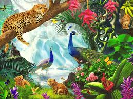 Schone Wilde Tiere Paradise Hintergrundbilder Schone Wilde Tiere Paradise Frei Fotos Wald netter brown bear rock. wilde tiere paradise hintergrundbilder