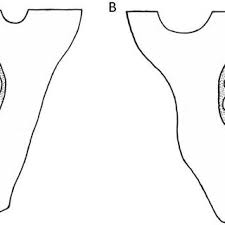 Image result for Thesium vahrmeijeri