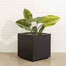 Extra large planters for trees. Amazon Com Square Black Planter Xl Extra Large Outdoor Indoor Seeley Cube Box Pot 30 Inch Best Tall Plastic Heavy Duty Trees Plants Bushes Contemporary Architectural Fiberglass Resin Commercial Grade Garden