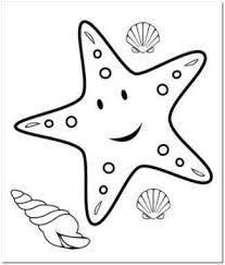 Starfish Coloring Page Beach Coloring Pages Animal Coloring Pages Fish Coloring Page