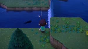 The first thing to know about stringfish is that they only appear during certain months of the year. Animal Crossing New Horizons Stringfish Where When And How To Catch The Rare Stringfish Nintendo Life