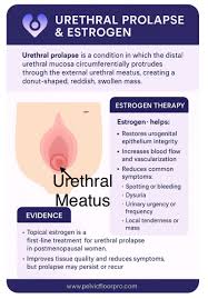 Image result for Urethral Prolapse