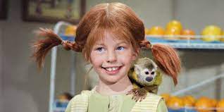 Please feel free to ask any questions concerning this item, thank you! Pippi Longstocking A Brief Compendium Of Cool