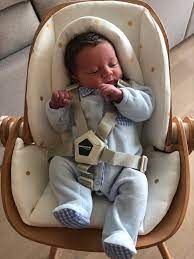 evolu newborn seat for evolu 2 one 80 wood natural anthracite newborn seat newborn baby high chair