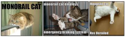 Image result for lolcats