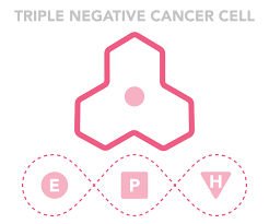 You can have breast cancer without feeling anything out of the ordinary. Triple Negative Breast Cancer National Breast Cancer Foundation