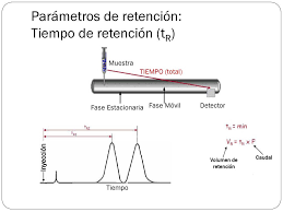Introduccion A La Cromatografia Ppt Descargar