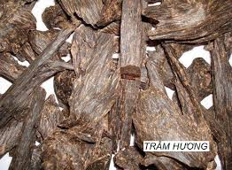 Tìm hiểu về các đặc tính của gỗ cây trầm hương | Công Ty Nội Thất Onplaza -  Thương hiệu nội thất hàng đầu Việt Nam