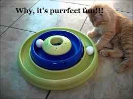 Bergan Catnip Cyclone Cat Toy Bergan Catnip Cyclone Cat Toy Are A Great Gift For Any Of Uour Feline Friendѕ Whish Tureѕ ѕhould Be Cat Toys Food Animals Cats