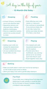 More images for one month milestones » 12 Month Old Baby Development Milestones Pampers