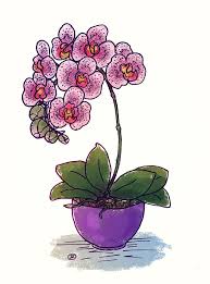 Spring Flowers Vase Lillie Orchid Tulips Women S Day Art Artwork Idraw Sketch Sketchbook Hand Drawings Cakesandflowers Stickers T