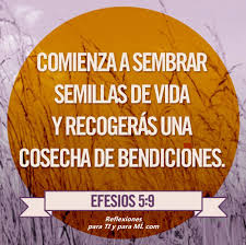 Comienza A Sembrar Semillas De Vida Y Recogeras Una Cosecha De Bendiciones Biblia Citas Sobre Dios Frases De La Biblia