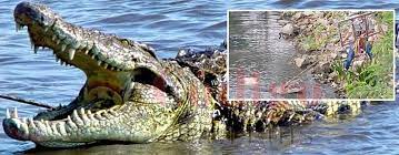 El reporte de este hecho se hizo pasadas las 7pm al h. 8mayv0mwtituzm