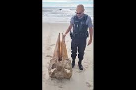 We did not find results for: Giant Whale Skull Washes Up At Island Beach State Park At Jersey Shore Phillyvoice