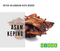Kutu beras adalah hama yang biasanya berada di tumpukan beras, yang dapat menyebabkan alergi dan membuat nutrisi beras & kualitas rasa beras jadi berkurang. Facebook