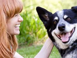 We've always been happy with whole pet. Different Strokes Isthmus Madison Wisconsin