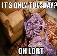 Here's to making tuesday your new favorite day. 80 Hilarious Happy Funny Tuesday Memes Of The Week Funzumo