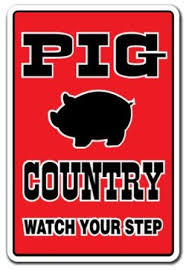 Amazon Com Pig Country Novelty Sign Farm Farmer Hog Funny Gift Patio Lawn Garden With Images Funny Pigs Pig Pig Decor