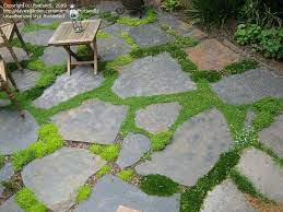 Home And Garden Small Garden Path Ideas Patio Stones Garden Stepping Stones