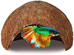 Amazon Com Betta Fish Toys Prime Eligible In 2020 Betta Fish Toys Betta Fish Betta