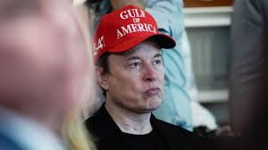 ‘Doomed to fail’: Elon Musk’s America Party is a ‘fool’s errand’