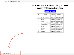 Bagaimana anda dapat membuat aplikasi input data excel? Export Data Ke Excel Dari Database Dengan Php Dan Mysqli Malas Ngoding