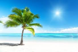 Black And White Beach Wall Mural Pin On Plage