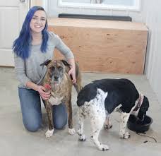 Whether you need to board your dog for an overnight stay, for the weekend, a holiday or to book the meet & greet, find your nearest location and follow the new pet parent page steps to schedule a meet & greet. Stoney Homestead Kennels Provides Doggy Day Care Overnight Boarding Charles City Press