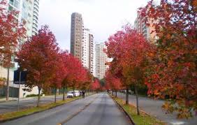 As manhãs de inverno costumam vir acompanhadas de uma neblina matinal. Clima E Temperatura Em Curitiba 2021 Dicas Incriveis