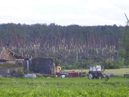 Te wiatrołomy to preludium do zniszczeń dokonanych przez trąbę powietrzną, która przetoczyła się dziś przez sąsiednią wieś łążek i okoliczne lasy. Stara Rzeka Artykuly Gazeta Pomorska