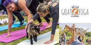 10 am Baby Goat Yoga at the L.A. Arboretum