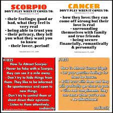 The cancer woman feels free to express her emotions with a scorpio man because he's so protective. Pin By Jodie Caudill On Nathan Scorpio And Cancer Scorpio And Cancer Relationship Cancer Quotes Zodiac