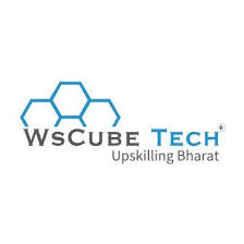 WS Cube Tech