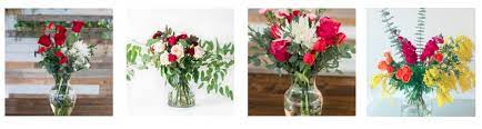 Hours may change under current circumstances 9 Best Flower Delivery In Fayetteville Arkansas 2021