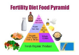 Fertility Diet And Food Checklist Fertility Diet Natural Fertility Fertility Foods