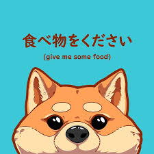 A Hungry Japanese Shiba Inu Dog Design Shiba Inu Shiba Shiba Inu Dog