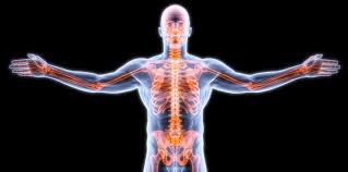 Pfizer Pays Up To 700m To Acquire Therachon Working To Restore Bone Growth In Achondroplasia